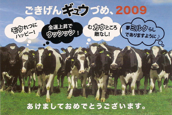 A HAPPY NEW YEAR